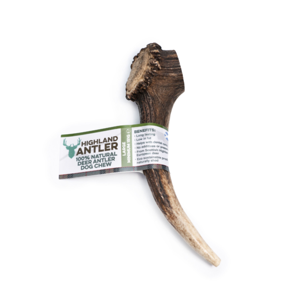 Antos Dog Treat Antler - Image 4