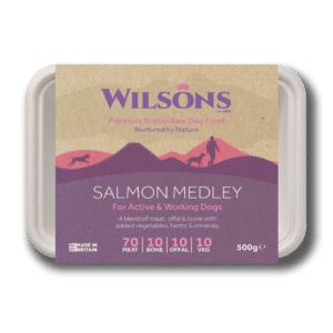 wilsons, salmon