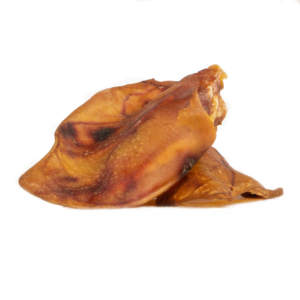 Burns Pig Ear