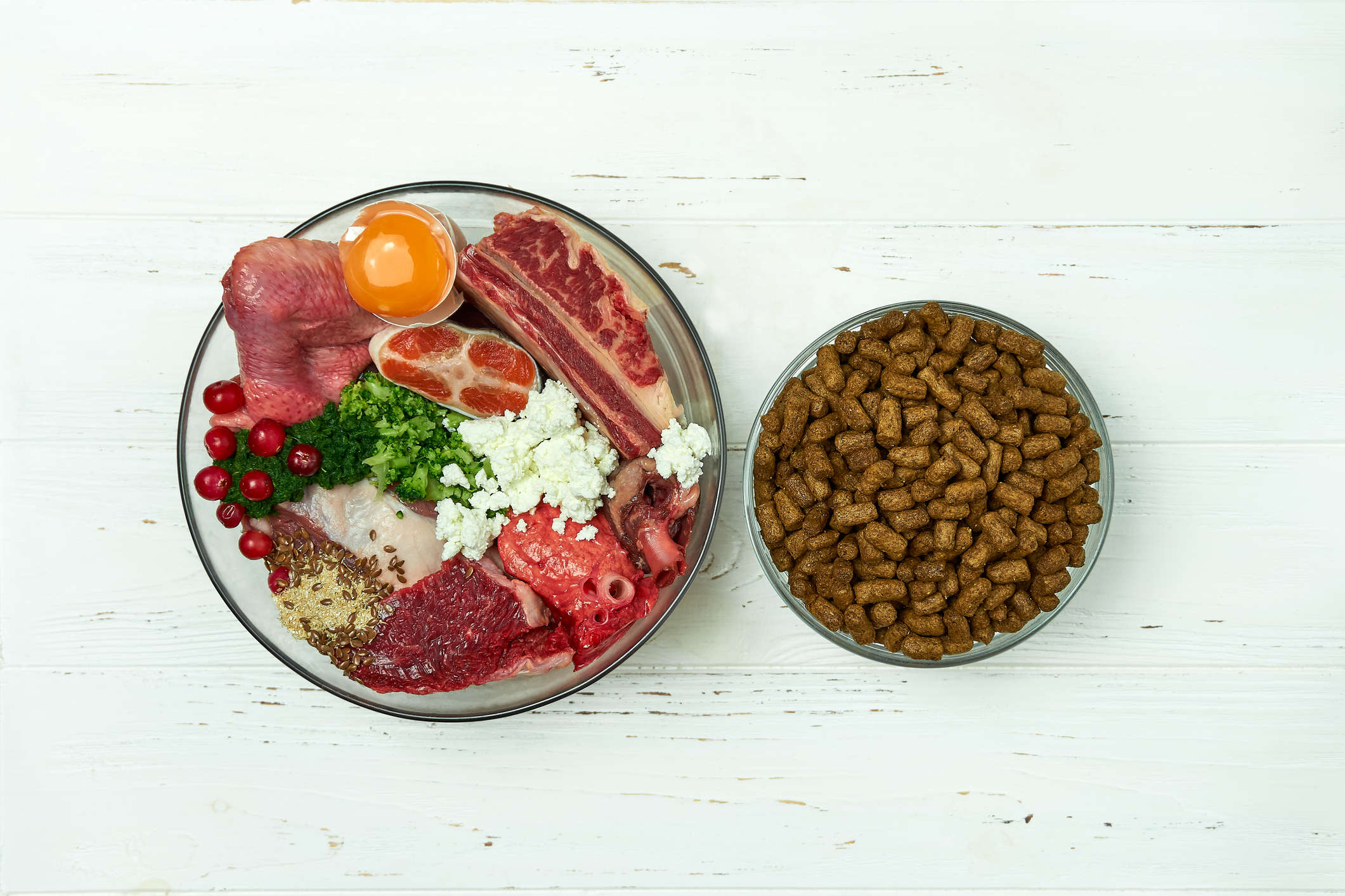 Why is feeding a raw food diet so important for my dog’s health and how do I do it?