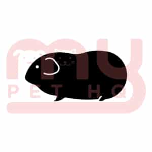 whole prey, guinea pig,