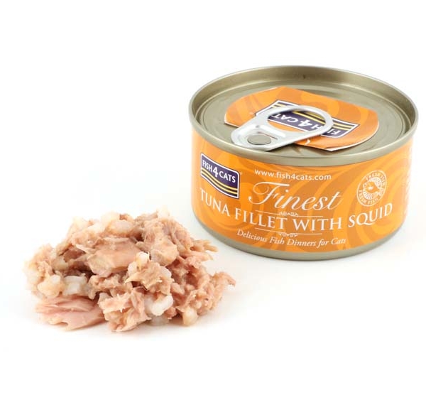 Fish 4 cats wet food top