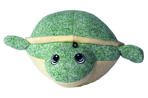 softball turtle