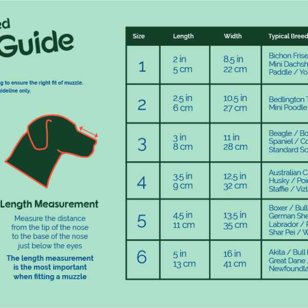 company of animals muzzle sizing