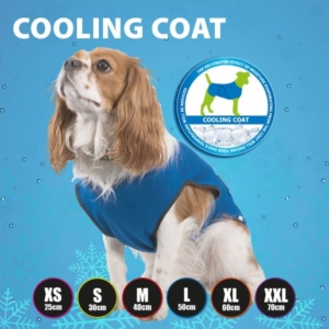 cool coat