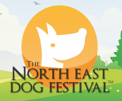 Our What’s On Guide At The North East Dog Festival
