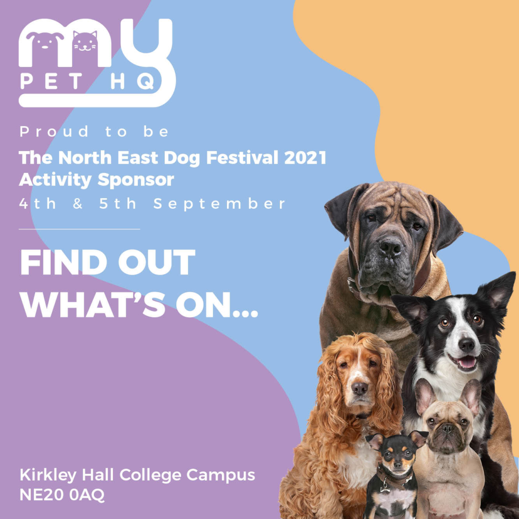 Our What's On Guide At The North East Dog Festival My Pet HQ