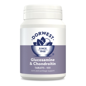 Glucosamine & Chondroitin