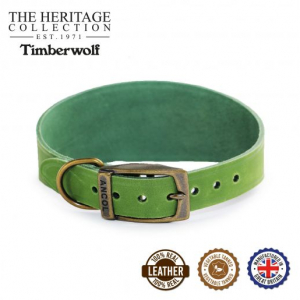 green hound collar