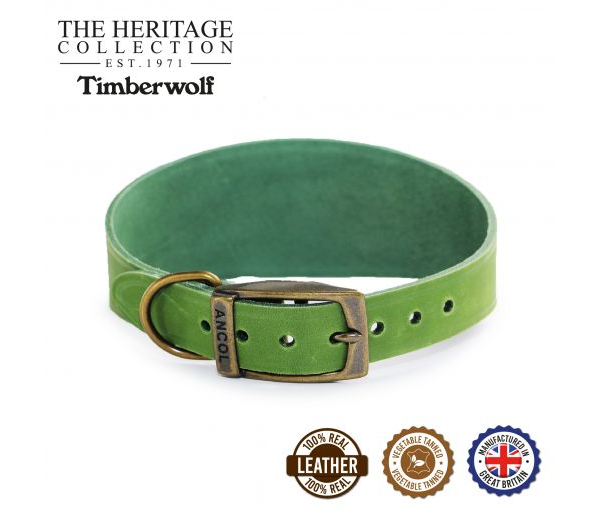 green hound collar
