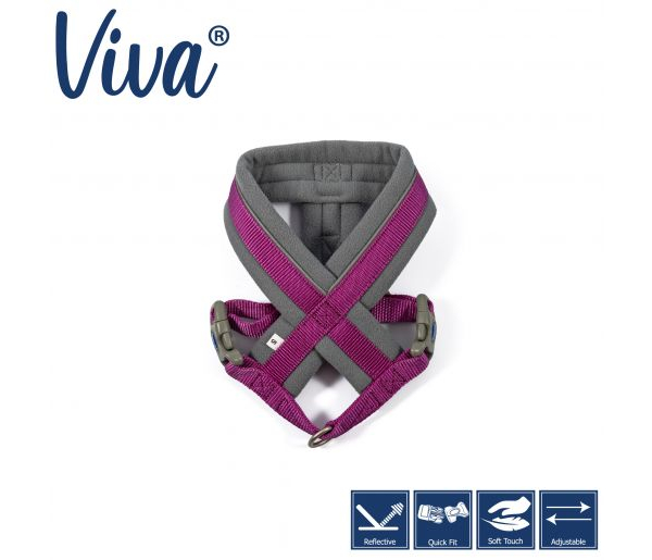 purple viva