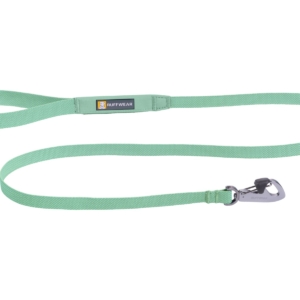 sage green lead