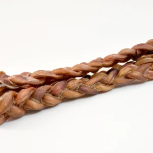 braided pizzle